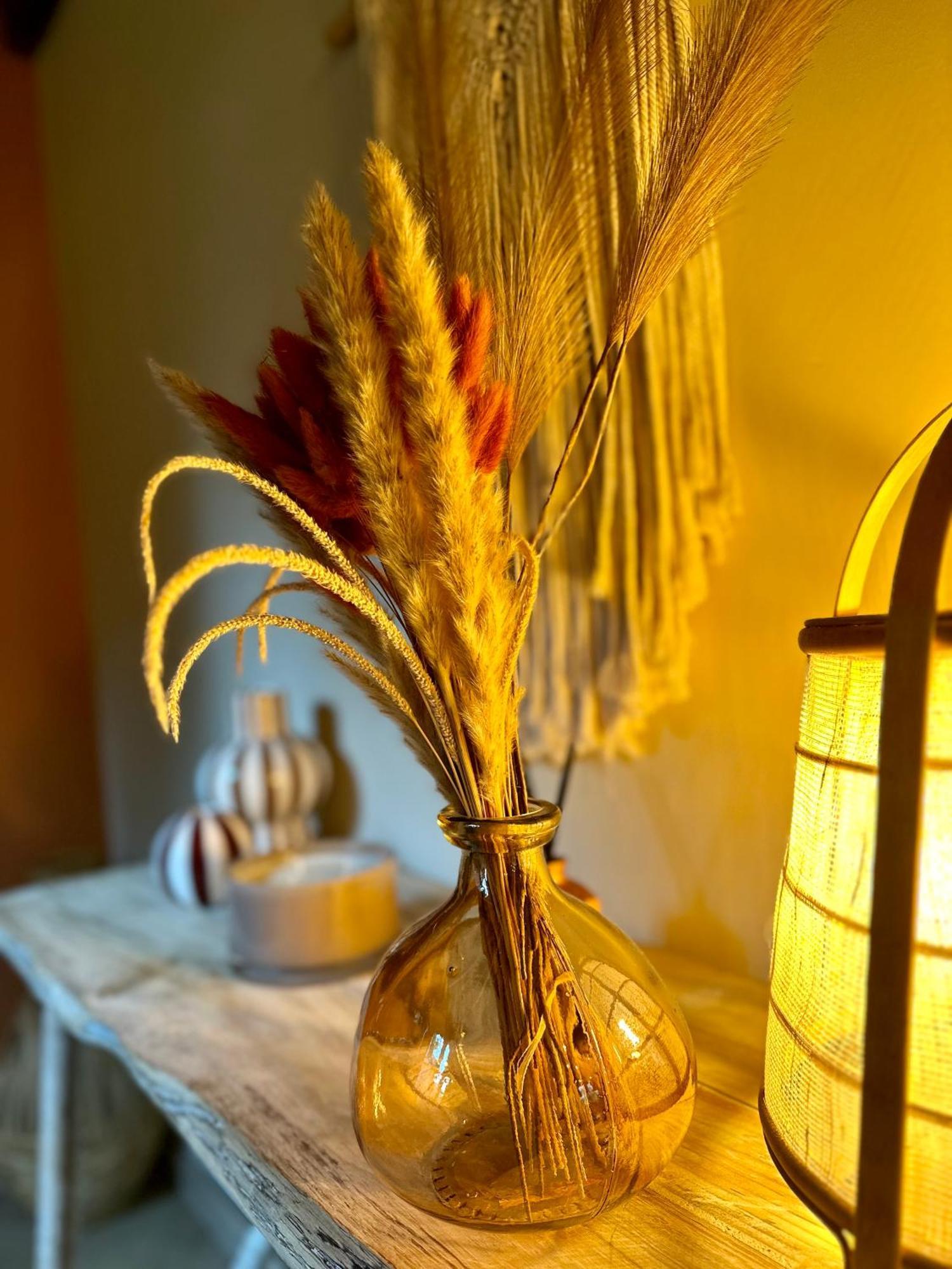 Bed and Breakfast Ferme Marie Helene Ittlenheim Екстер'єр фото